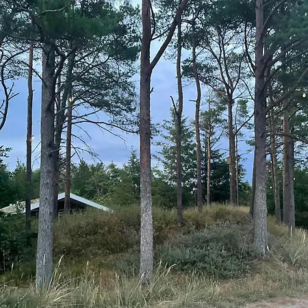 Family House At Kryle Klit Near Wild Nature Holiday home